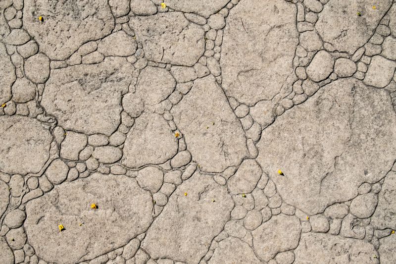 Decorative Concrete Repair in Ann Arbor, MI